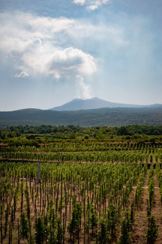 Mount Etna Sicily